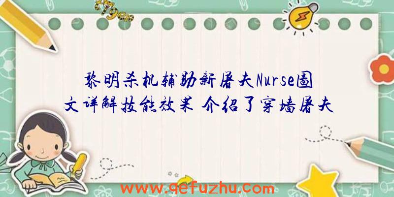 黎明杀机辅助新屠夫Nurse图文详解技能效果